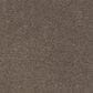 Karastan Sensational Allure Carpet in Portobello, , large