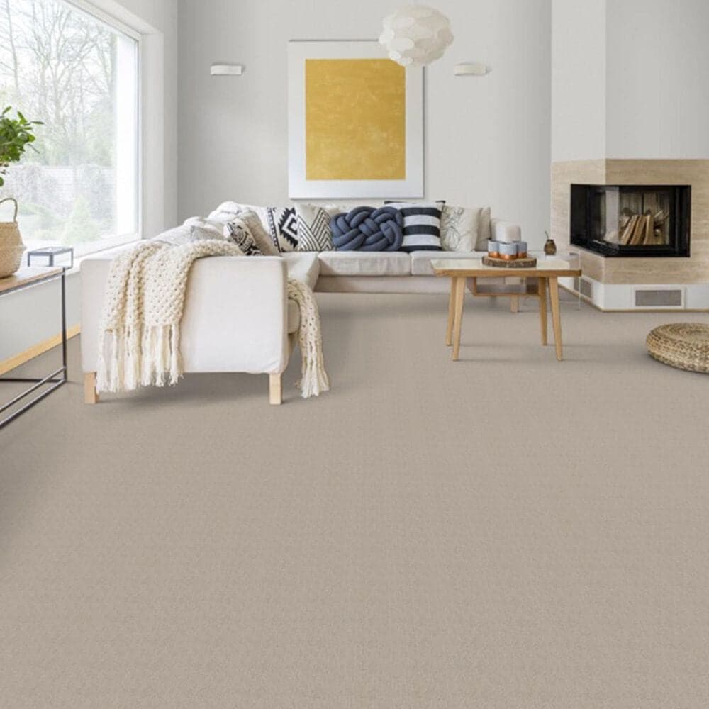Dixie Home Worthington Carpet in Tone, , large