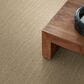 Anderson Tuftex Pose Carpet in Bungalow, , large