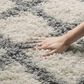 Safavieh Dallas Shag SGD258F-3 3" x 5" Ivory/Grey Area Rug, , large