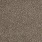 Anderson Tuftex Barracan Classic I Carpet in Mesquite, , large