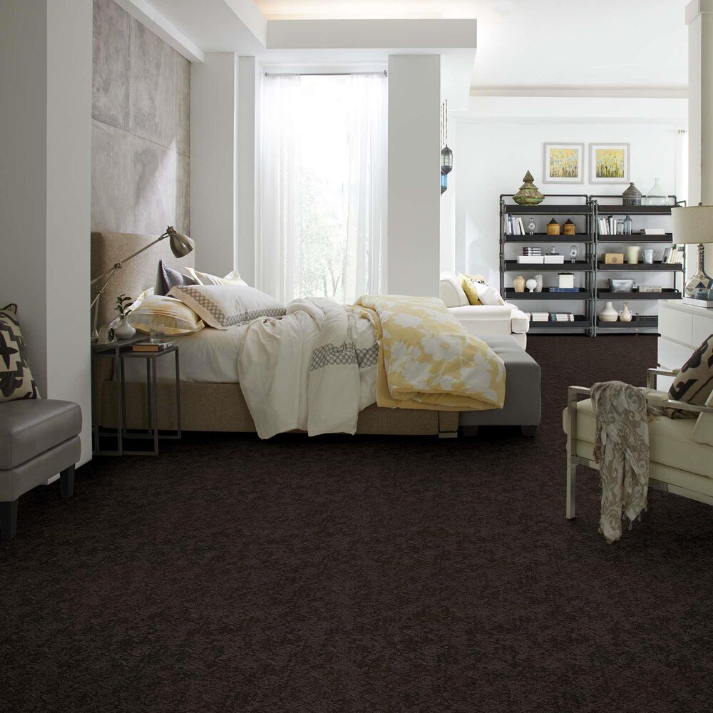 Philadelphia Caress Free Spirit Carpet in Burma Brown, , large