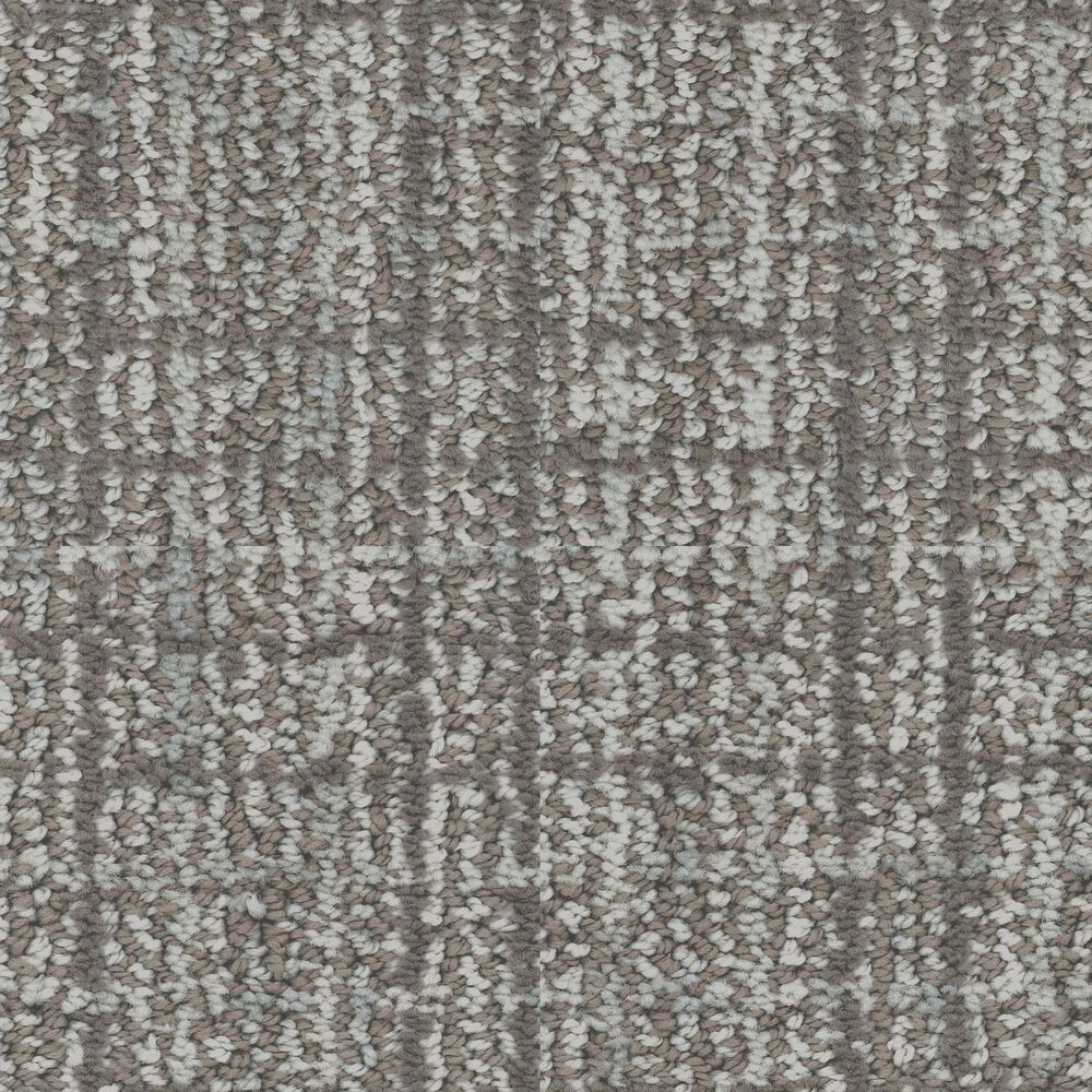 Dixie Home Engaging Carpet in Chinchilla, , large