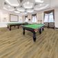 Paramount Bliss 5.0 Andrusia 9" x 60" Luxury Vinyl Plank, , large