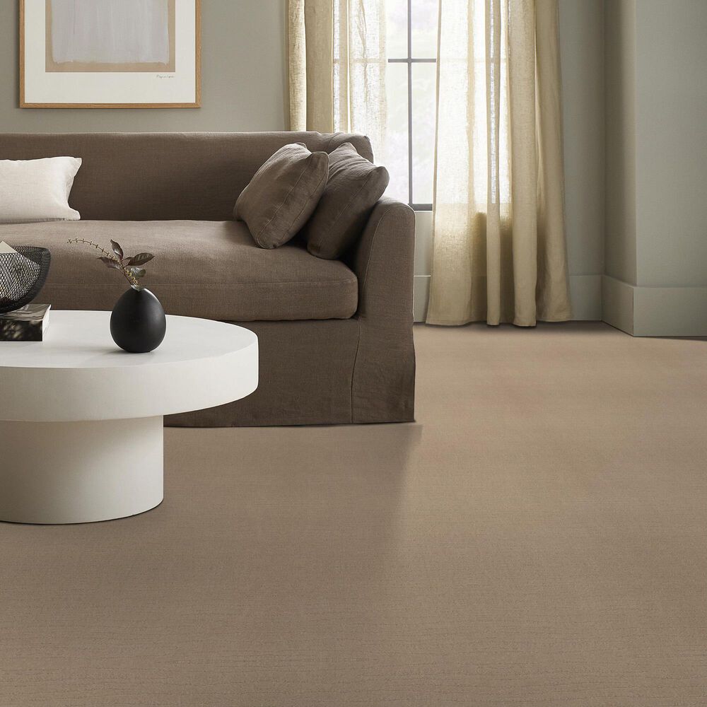 Anderson Tuftex West Creek Carpet in Terrazo, , large