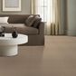 Anderson Tuftex West Creek Carpet in Terrazo, , large