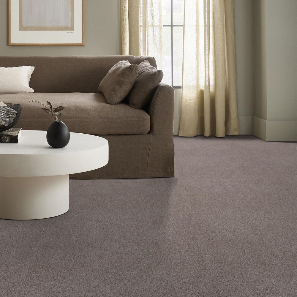 Anderson Tuftex Sumptuous II Carpet in Heritage Taupe, , large