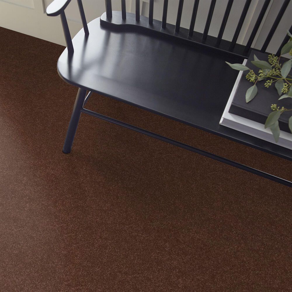 Shaw Hard At Play Iii Carpet in Orange Oxide, , large