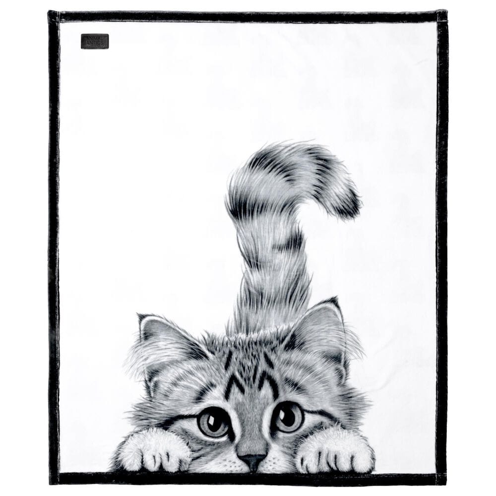 Pavilion Animal Antics Cat Royal Plush Blanket in White, , large