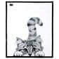 Pavilion Animal Antics Cat Royal Plush Blanket in White, , large
