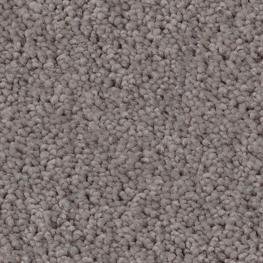 Shaw Las Cruces Carpet in Silhouette, , large