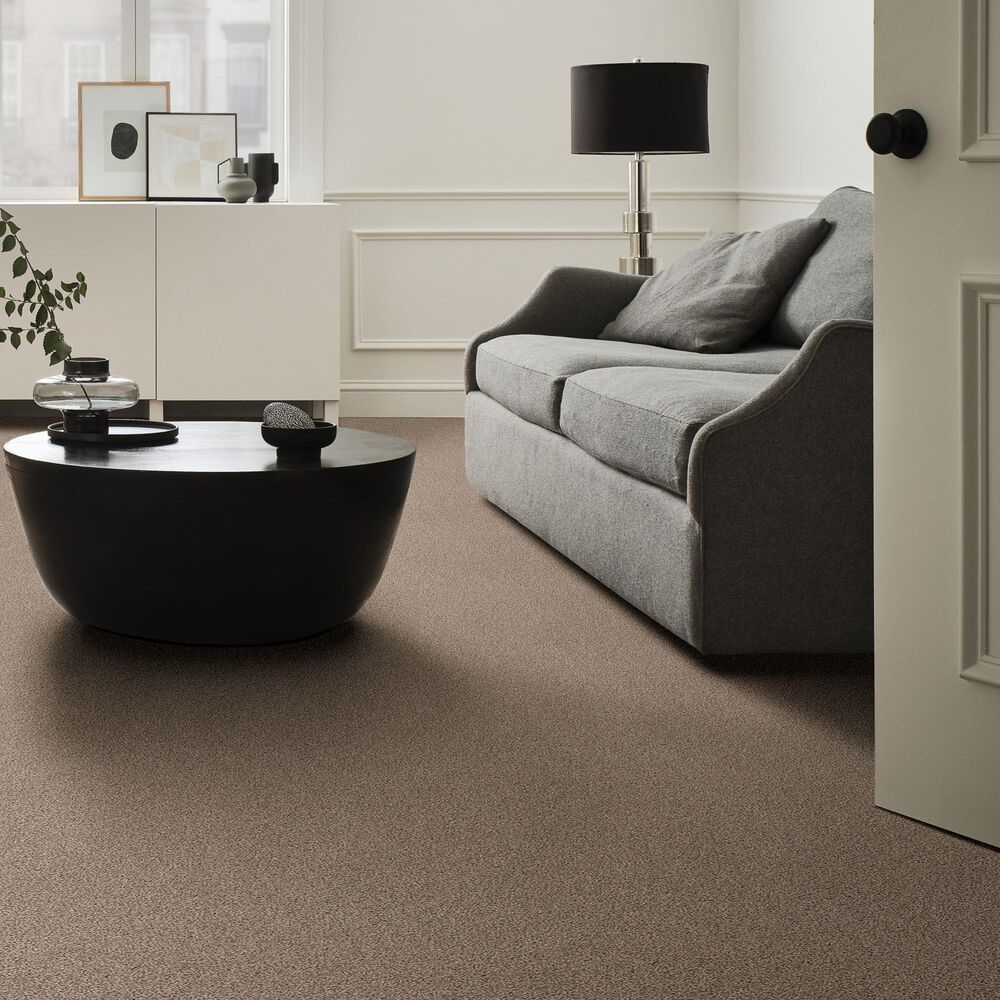 Anderson Tuftex Wayfarer Carpet in Stone Harbor, , large