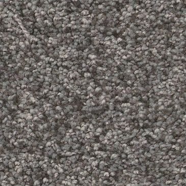 Shaw You Got This III Carpet in Ashes, , large