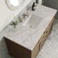 James Martin Vanities Chicago 48" Single Bathroom Vanity in Whitewashed Walnut with 3 cm Victorian Silver Quartz Top and Rectangular Sink, , large