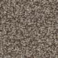 Shaw Affirmation I Carpet in Havana, , large
