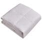 Blue Ridge Home Fashions Naples 700 Thread Count Twin Down Comforter in White, , large