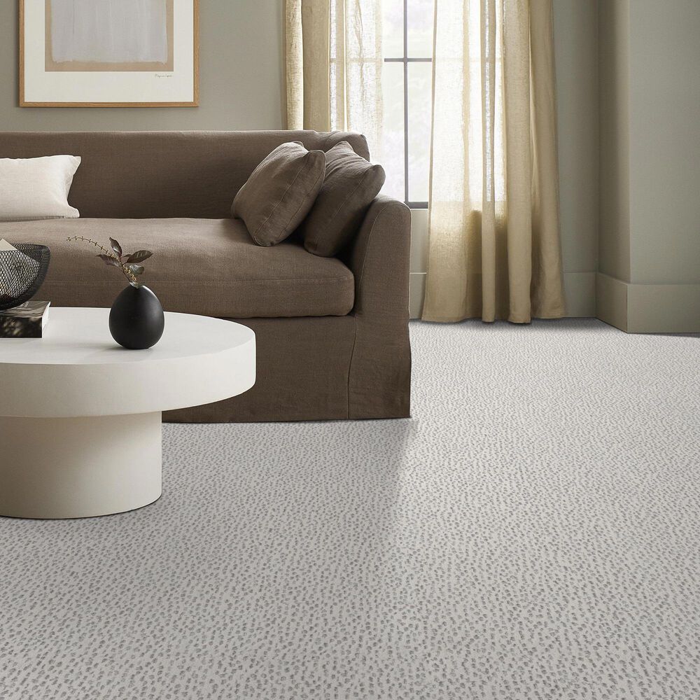 Anderson Tuftex Ambitious Carpet in First Frost, , large