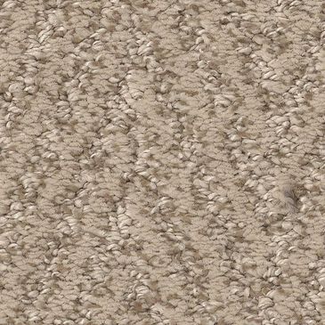 Anderson Tuftex Kit Carpet in Blonde, , large