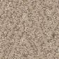 Anderson Tuftex Kit Carpet in Blonde, , large