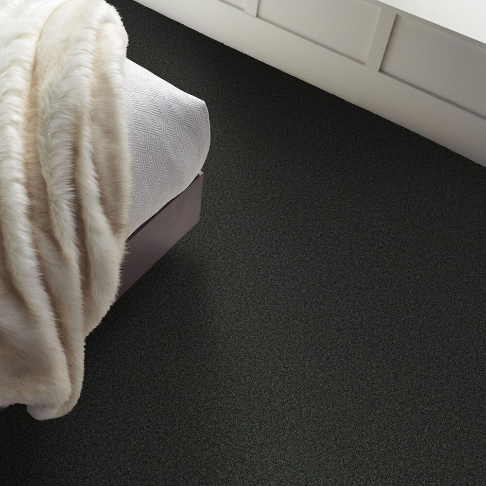 Shaw Comforting I Carpet in Top Hat, , large