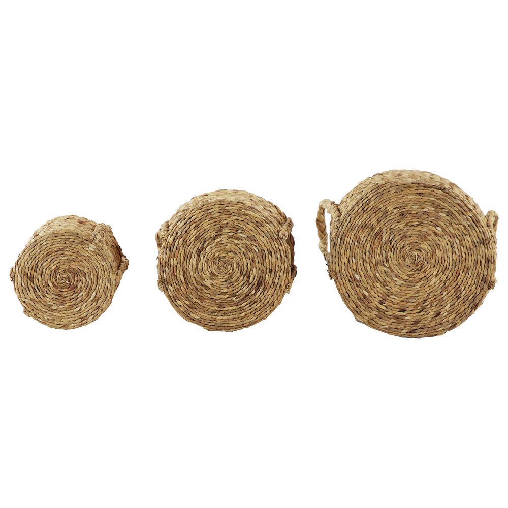 Maple and Jade Dried Coastal Storage Basket in Brown &#40;Set of 3&#41;, , large