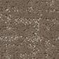 Shaw Home Within Carpet in Cameo, , large
