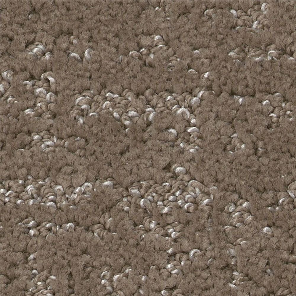 Shaw Home Within Carpet in Cameo, , large