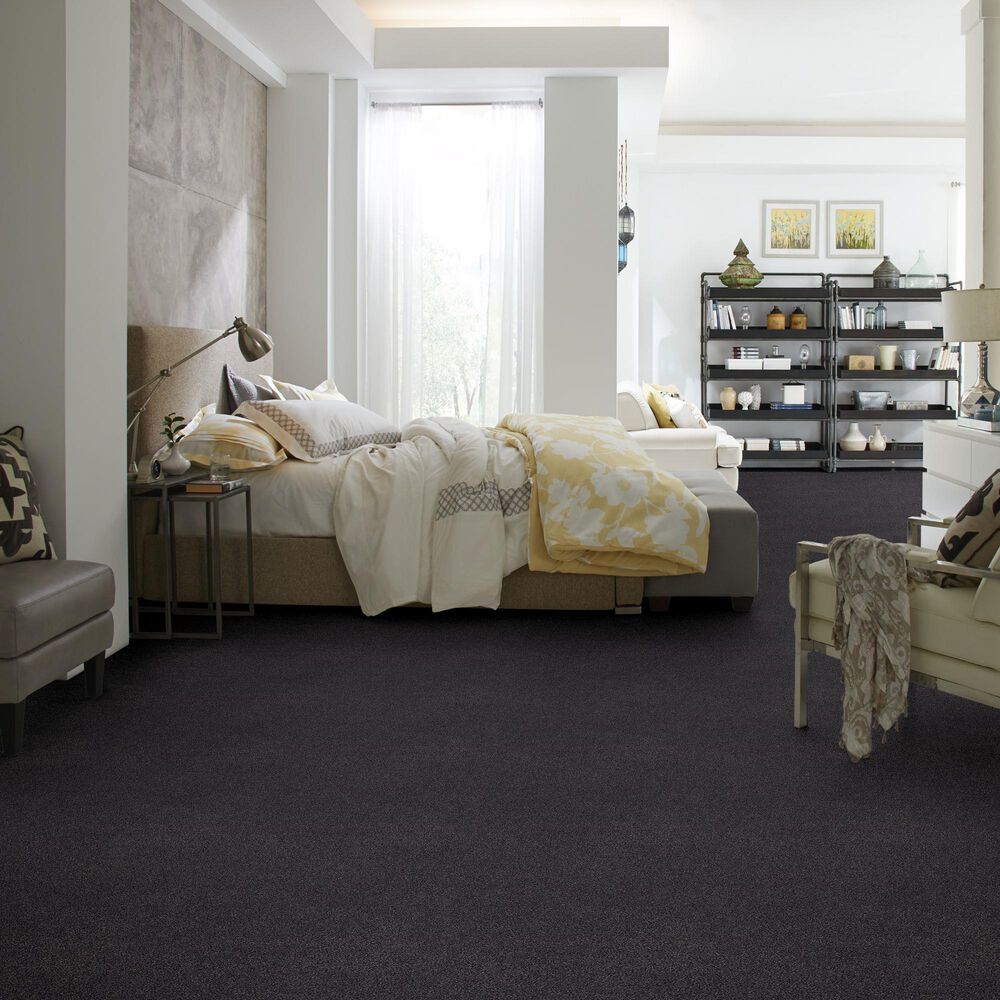 Philadelphia Caress by Shaw Cozy Harbor II Carpet in Wrought Iron, , large