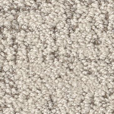 Philadelphia Run Free Carpet in Almond Silk, , large