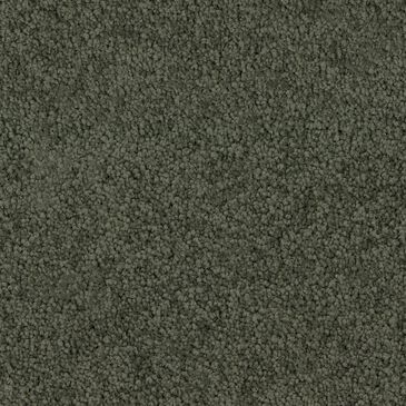 Dixie Home Gentle Wind Carpet in Cypress, , large