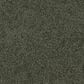 Dixie Home Gentle Wind Carpet in Cypress, , large