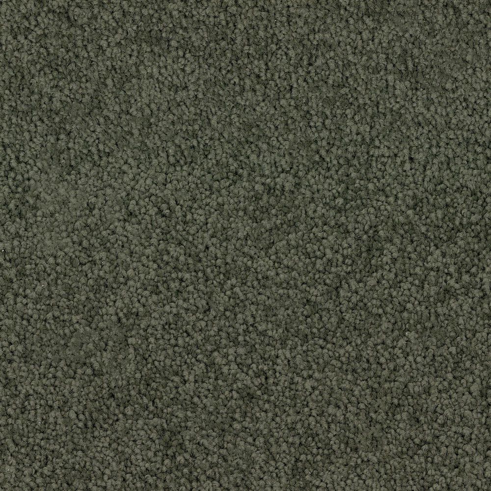 Dixie Home Gentle Wind Carpet in Cypress, , large