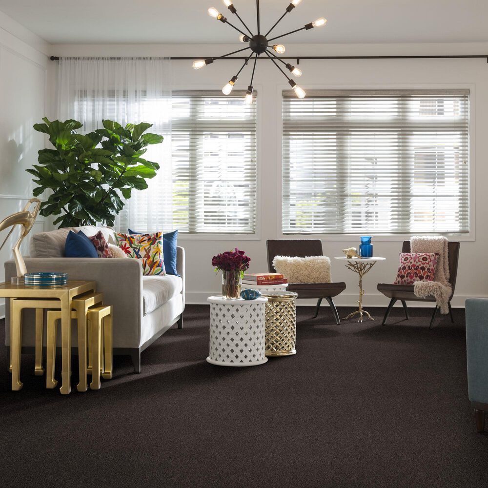 Anderson Tuftex Caress  Cozy Harbor II Carpet in Burma Brown, , large