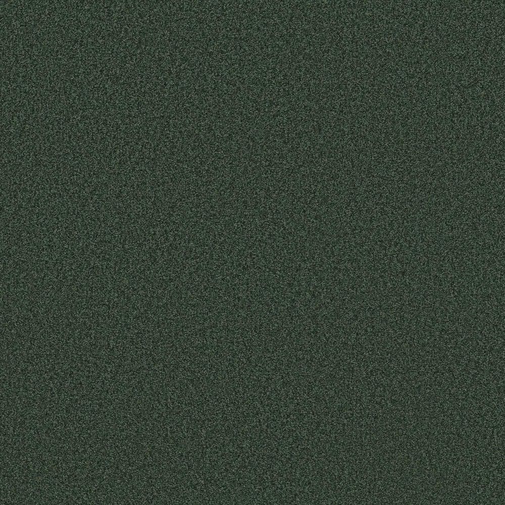 Shaw Tonal Comfort Ii Carpet in Magnolia Branch, , large