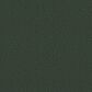 Shaw Tonal Comfort Ii Carpet in Magnolia Branch, , large