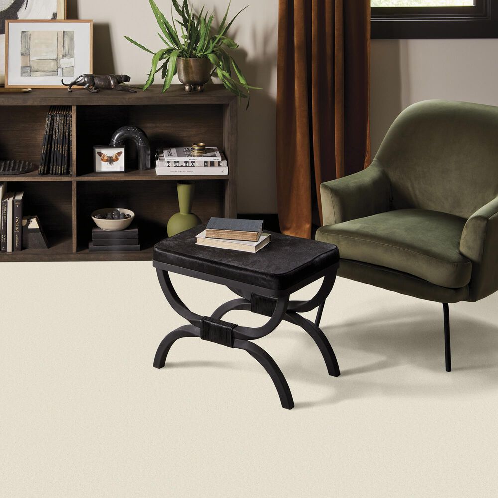 Anderson Tuftex Finery Carpet in Cotton, , large