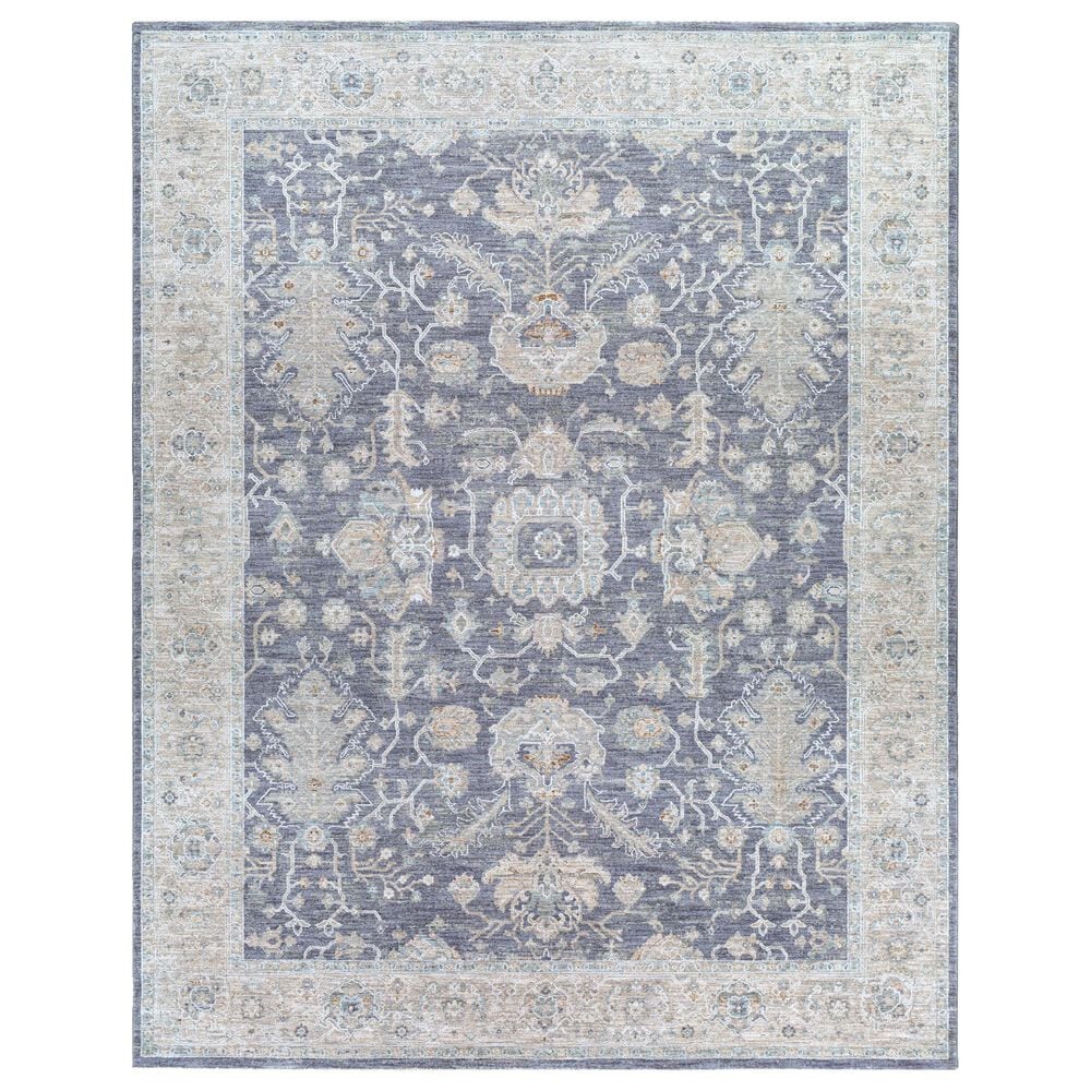 Surya Avant Garde 7"10" x 10"3" Gray, Beige and Denim Area Rug, , large