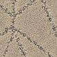 Shaw Point of View Carpet in Worn Path, , large
