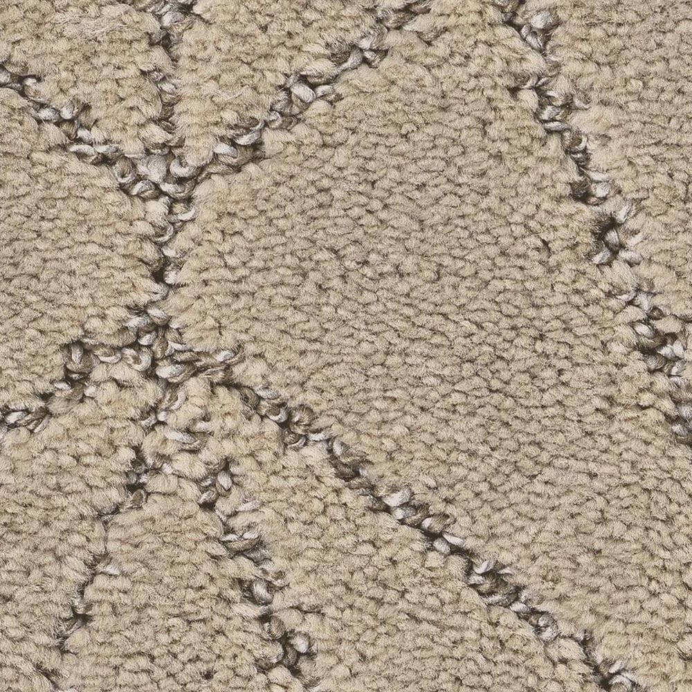 Shaw Point of View Carpet in Worn Path, , large