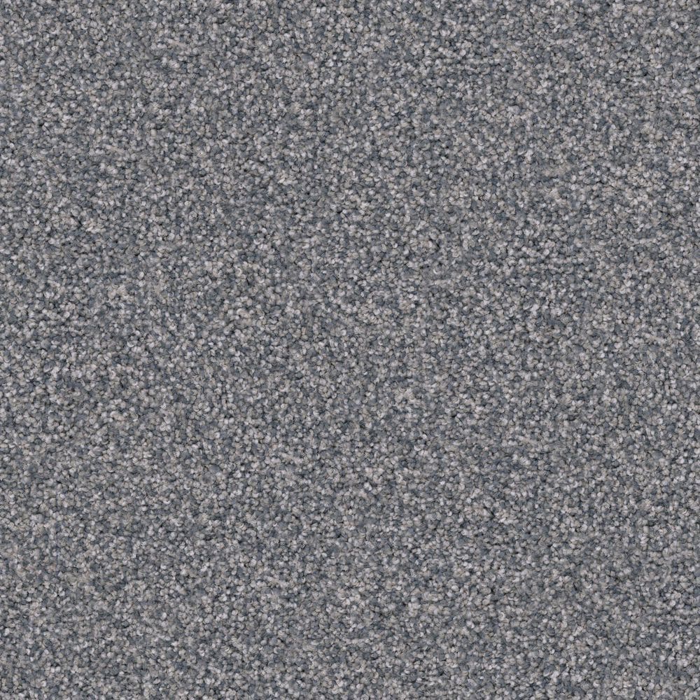Dixie Home Trapper Carpet in Pumi, , large