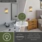 Vaxcel Douglas 1-Light Wall Sconce in Warm Bronze, , large