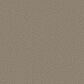 Shaw Comforting II Carpet in Boardwalk, , large
