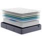 Serta Perfect Sleeper Select Aksarben Plush King Mattress with High Profile Box Springs, , large