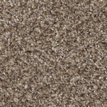 Shaw Grand Outlook Carpet in Hearth Stone, , large