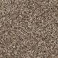 Shaw Grand Outlook Carpet in Hearth Stone, , large