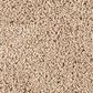 Mohawk Diffurent Choice II Carpet in Harmony, , large