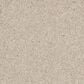 Anderson Tuftex Barracan Classic III Carpet in Harvest Moon, , large