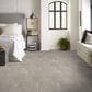 Anderson Tuftex Insightful Journey Carpet in Minimal, , large