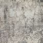 Amer Rugs Yasmin 2" x 3" Gray and Beige Area Rug, , large