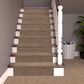 Masland Wonderwall Carpet in Exotic, , large